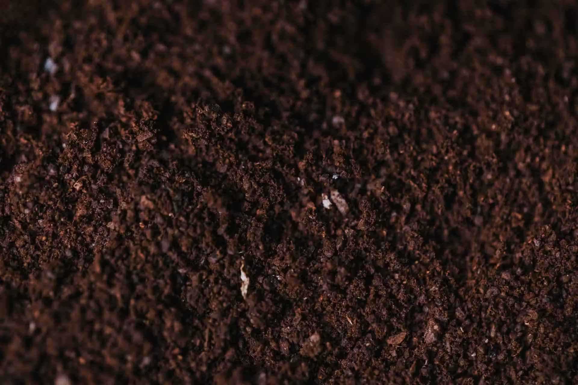 Soil texture background